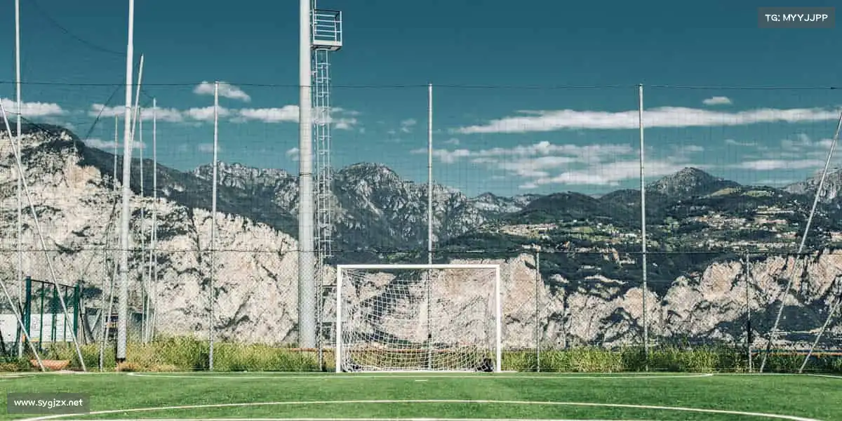 行业领先的理由